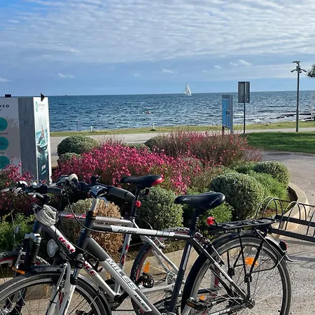 Apartma Lane Medolino
