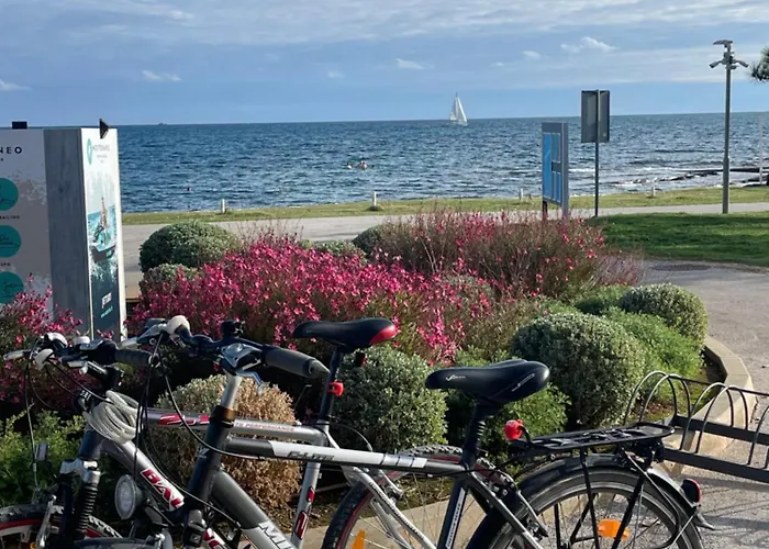 Apartma Lane Medulin